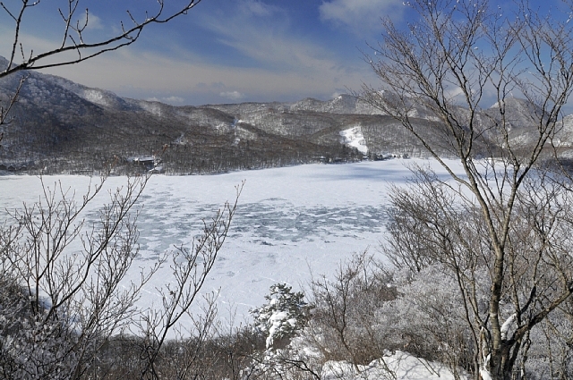 b0122448_20204894.jpg