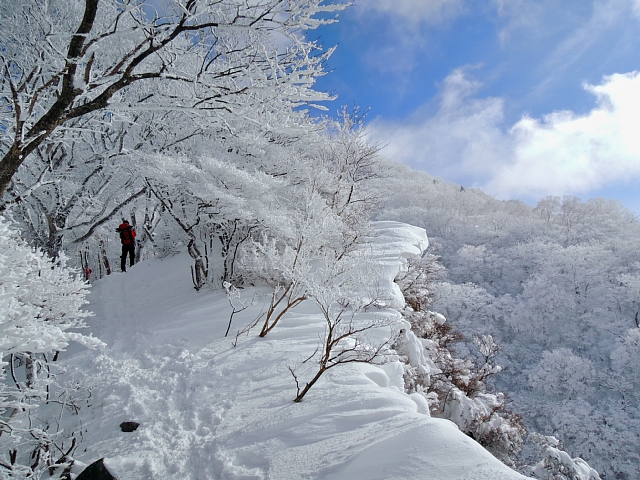 b0122448_20411944.jpg