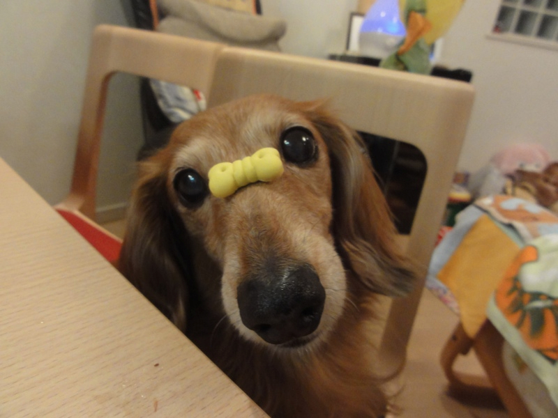 c0121550_21103562.jpg