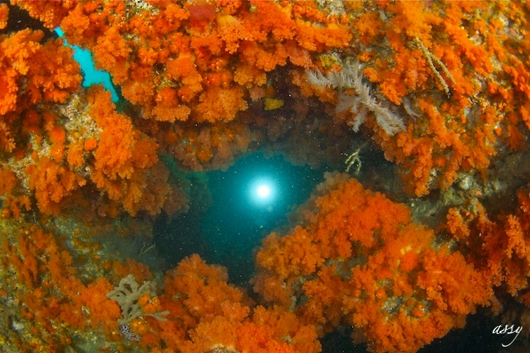 e0158261_917648.jpg