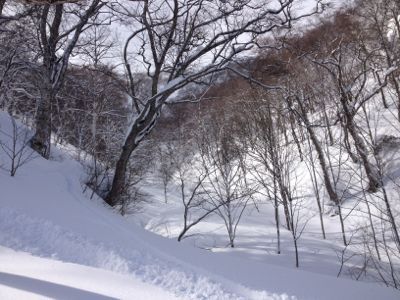 最高すぎる一日☆ 苗場スキー場_c0151965_9543745.jpg