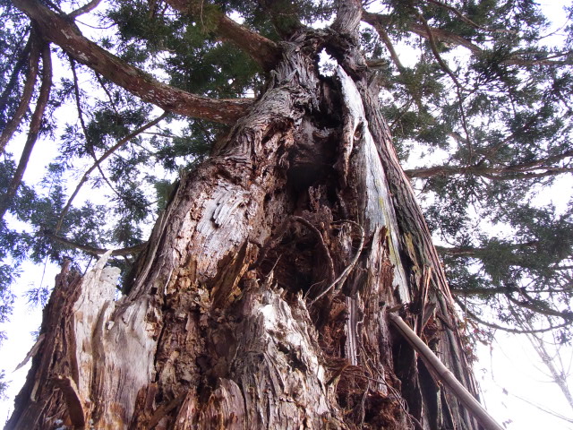 角田市の名刹高蔵寺_e0208965_20342062.jpg