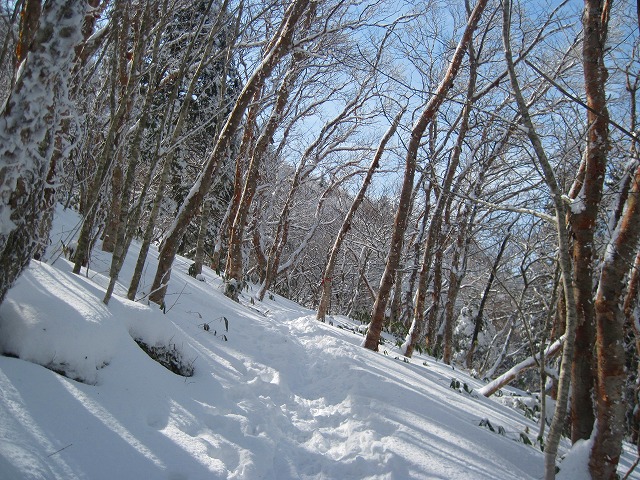 2013.2.17 笹ヶ峰_c0219866_1031582.jpg