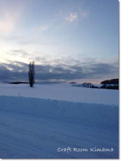 北海道　美瑛・旭川旅行　1日目_e0121067_20353164.jpg