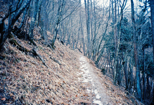 a0207672_171684.jpg