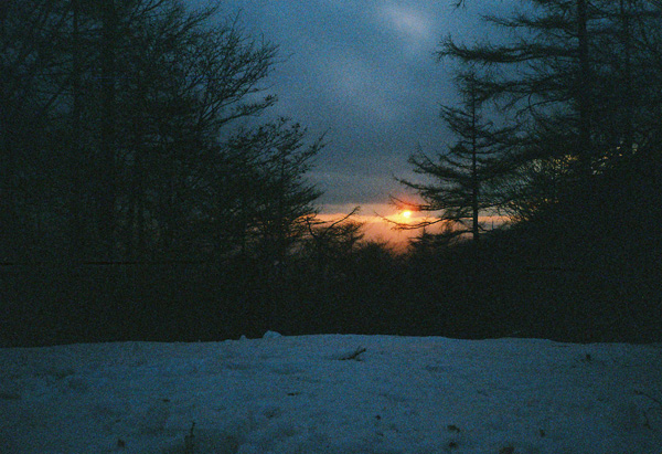 a0207672_17170.jpg