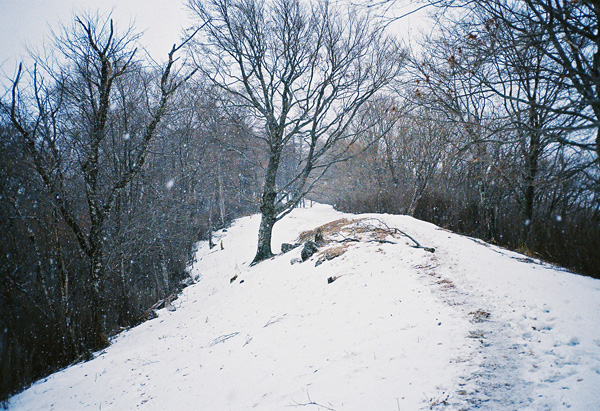 a0207672_17259.jpg