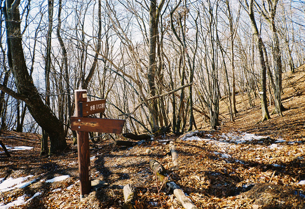 a0207672_452591.jpg