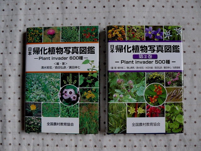 ＝植物図鑑＝・・・「日本帰化植物写真図鑑」　1巻・２巻_d0019074_81611100.jpg