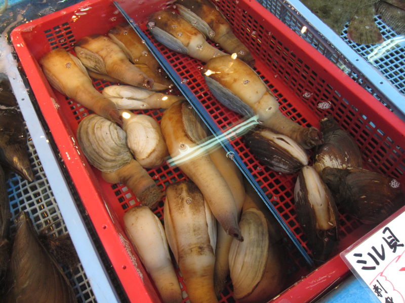 どんぶりからあふれんばかりの海鮮丼に舌鼓-やることなすこと最高クオリティ！日生牡蠣おこサイクリング②_e0138081_8313986.jpg