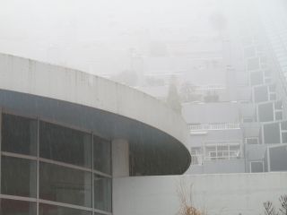 b0098584_21253267.jpg