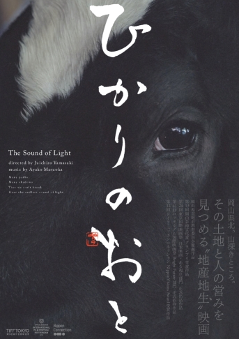 『ひかりのおと』 英語字幕版上映!_d0237485_074776.jpg