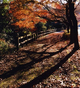 f0215785_12251989.jpg
