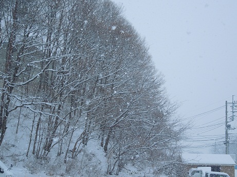 またまた雪~ 、そして、凍ってます~~。。。_a0211886_16571480.jpg