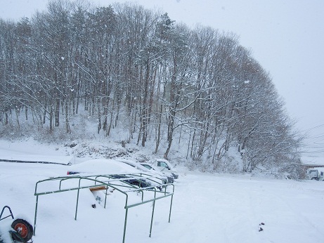 またまた雪~ 、そして、凍ってます~~。。。_a0211886_16582845.jpg