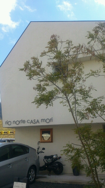 b0259288_43965.jpg