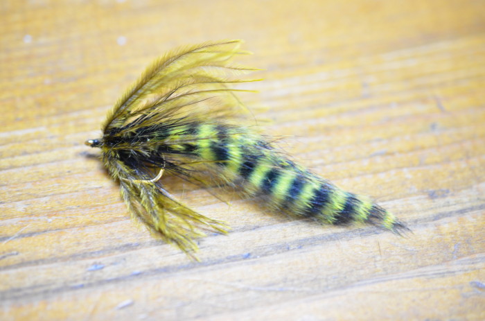 イントルーダー ・ ダーティーフォー ・ スクィドロ Ⅱ : Spey Bum