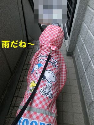 低気圧はキライ_e0222588_16133918.jpg