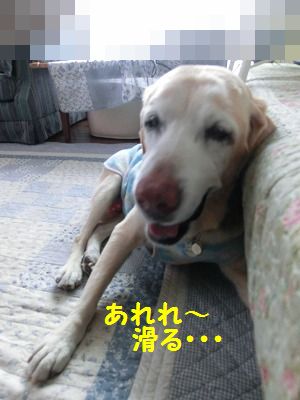 低気圧はキライ_e0222588_16273430.jpg