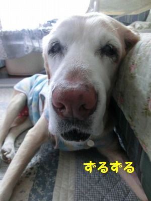低気圧はキライ_e0222588_16275716.jpg