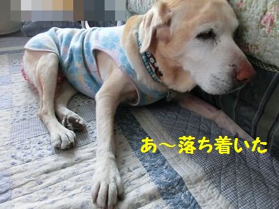 低気圧はキライ_e0222588_1628568.jpg