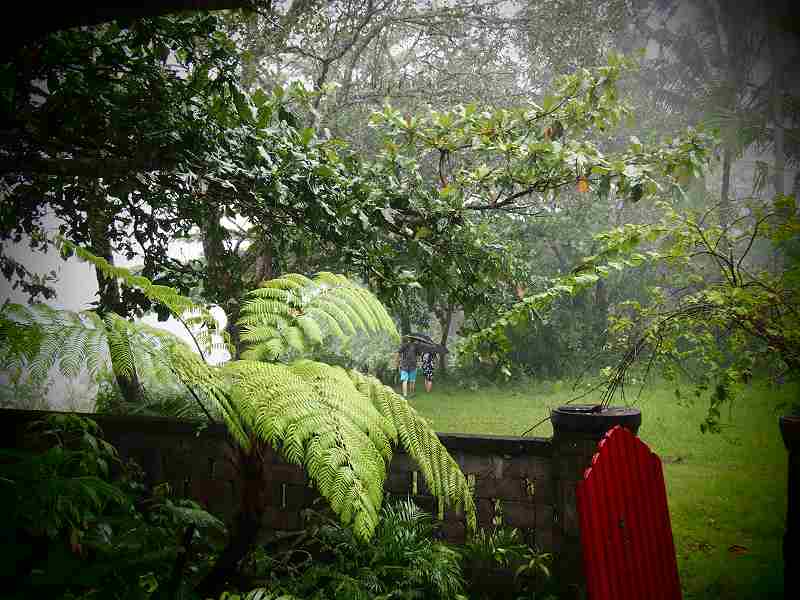 雨季がぶり返したアバビ村で。_b0161391_124770.jpg