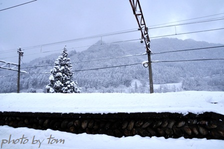 地鉄有峰口駅~雪のS字カーブ_b0155692_22324575.jpg