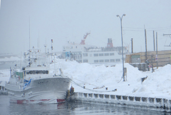 b0191693_204415100.jpg