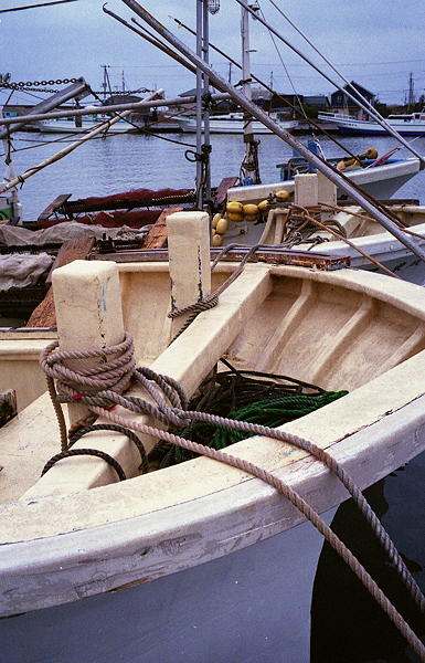 c0214494_23545830.jpg