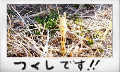 a0205596_16283866.png