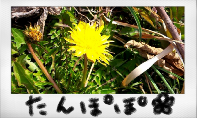 a0205596_16305581.png
