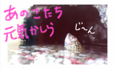 a0205596_16573441.png