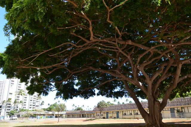 f0174198_02999.jpg