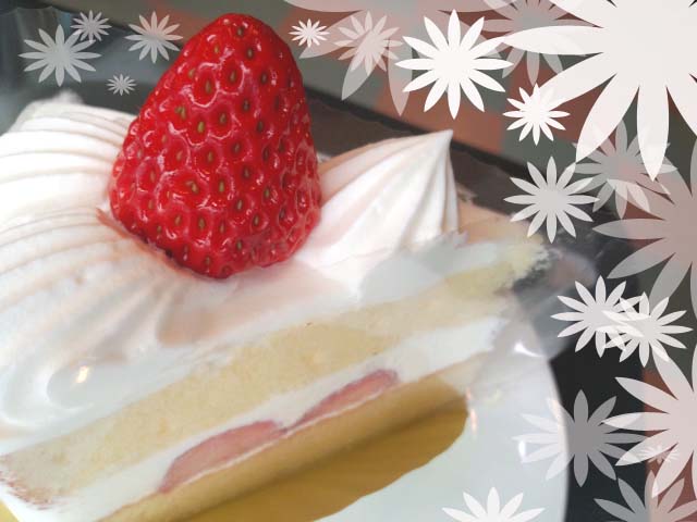 いただきました_c0140599_1781151.jpg