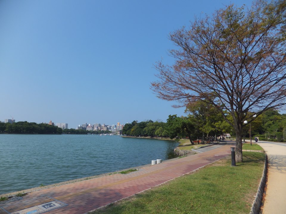 c0171899_20113561.jpg