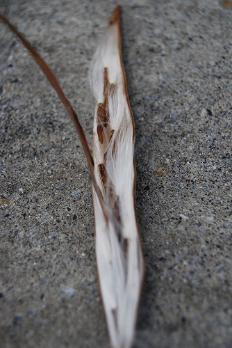 c0124100_17184588.jpg