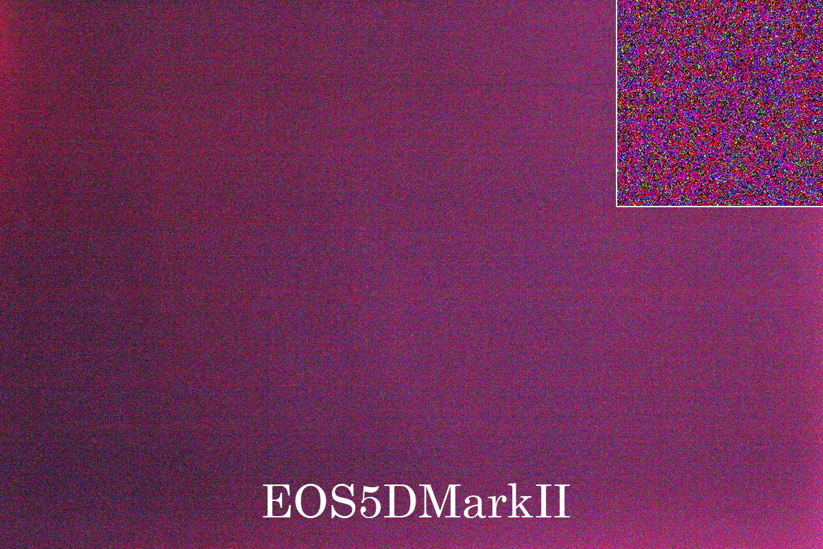d0200900_1938425.jpg