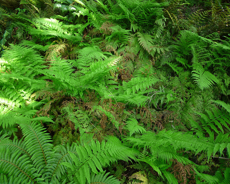 c0257904_10325390.jpg