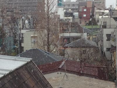 高円寺は雪です。_f0145106_1164849.jpg