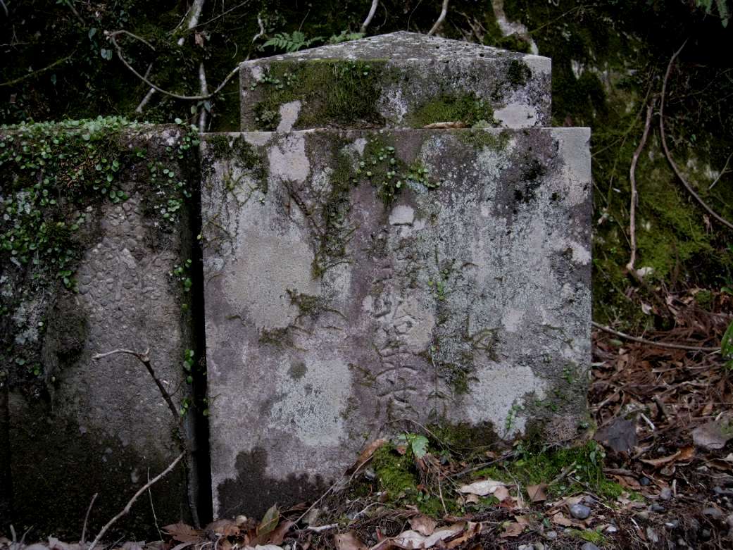 e0003910_1753514.jpg