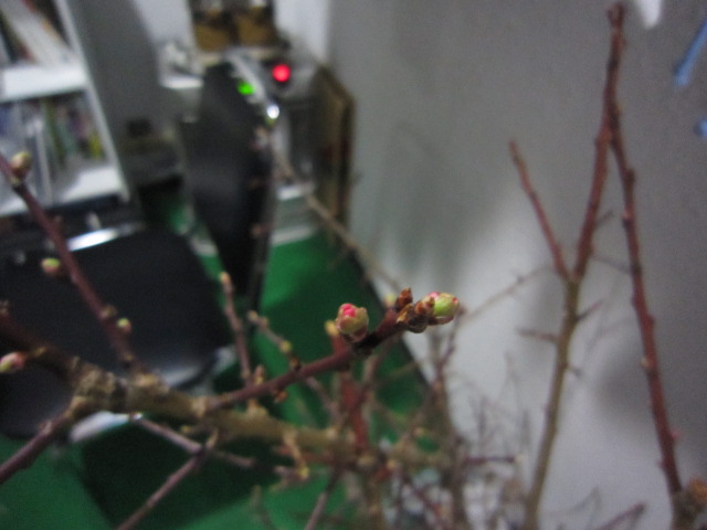 c0173813_2231465.jpg