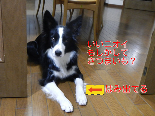 a0232619_1554541.png