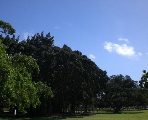 a0242019_18165036.jpg