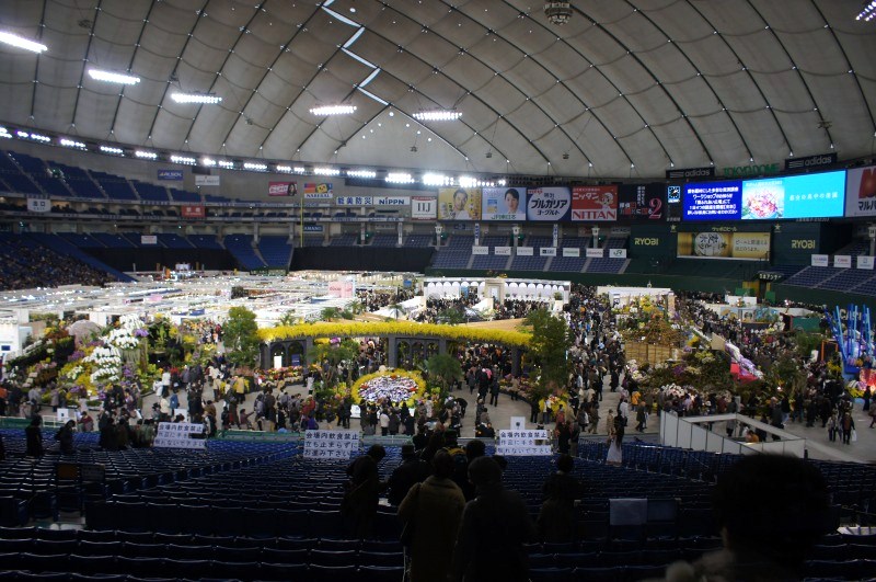 a0122932_218330.jpg