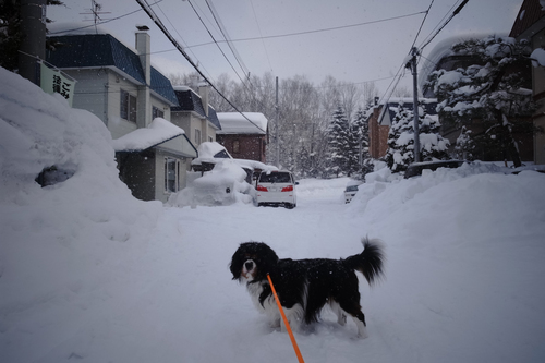 今日は3回だけ雪はね。_c0051132_21203384.jpg
