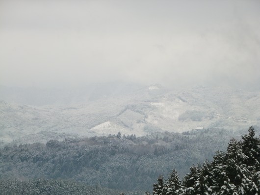 a0228333_22225878.jpg