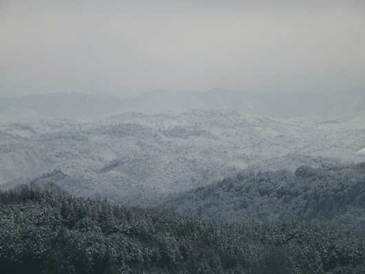 a0228333_2228359.jpg