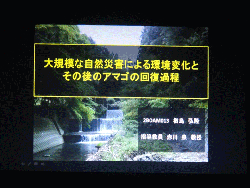 a0056140_15594890.gif