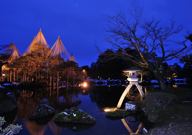 兼六園 雪吊りのライトアップ 気ままな時間を ゆったりと