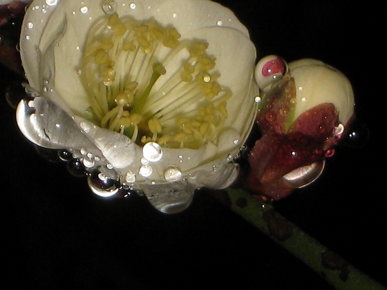 e0228147_004688.jpg